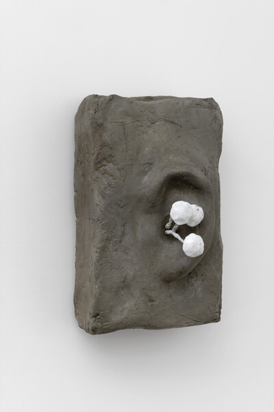 Hamish Pearch - © sans titre