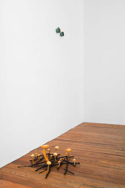 Hamish Pearch - © sans titre