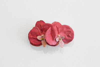 Hamish Pearch - © sans titre