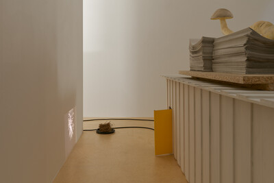 Hamish Pearch - © sans titre
