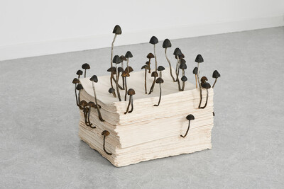 Hamish Pearch - © sans titre