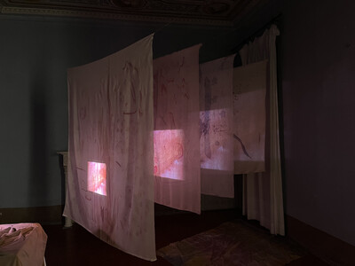 Sequoia Scavullo - © sans titre