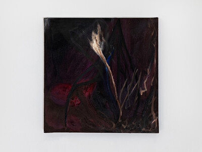 Sequoia Scavullo - © sans titre
