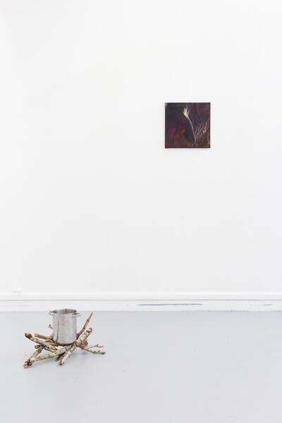 Sequoia Scavullo - © sans titre