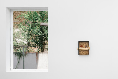 Wei Libo - © sans titre