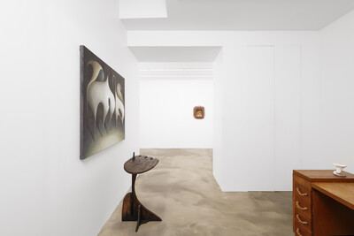 Alicia Adamerovich, « A bat out of hell », Paris - © Images &copy; Aur&eacute;lien Mole, sans titre