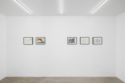 Aysha E Arar, « Dear red bird, look at me in the eyes », Paris - © sans titre