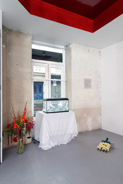 « Canard au Sans », Paris - © sans titre