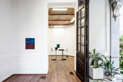 Condo: « The Clean Carcass of the Host », Mexico City - © sans titre