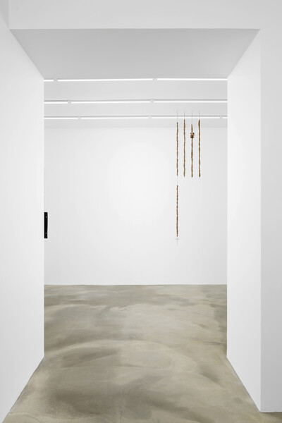 Cudelice Brazelton IV, « Bronzed from Silver », Paris - © sans titre