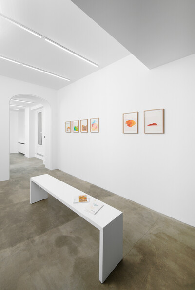 Ezio Gribaudo, « Paysages, d’après la fin du monde », Paris - © sans titre