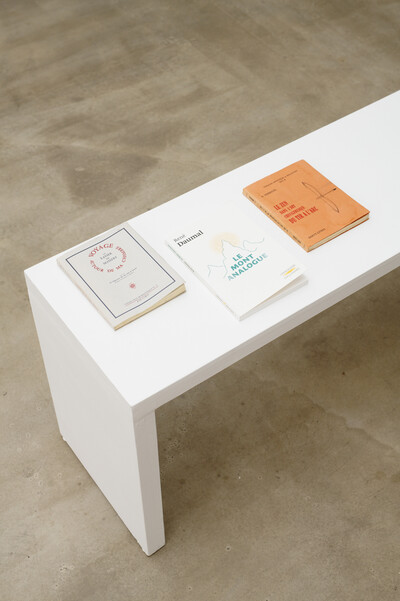 Ezio Gribaudo, « Paysages, d’après la fin du monde », Paris - © sans titre