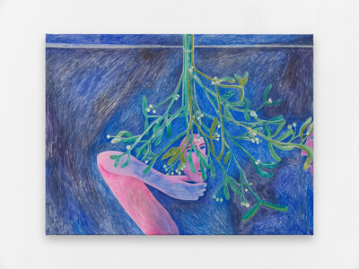 Agnes Scherer, Masks under a mistletoe (nocturne), 2025, acrylic on canvas, 51.5 x 68 cm, unique - © sans titre