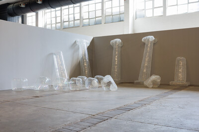 Zuzanna Czebatul, T-Kollaps, 2019-2024, polyethylene, variable dimensions, unique - © sans titre