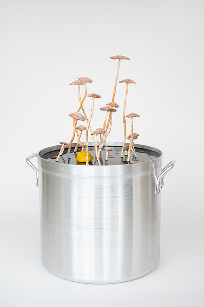 Hamish Pearch, I, amygdala soup, 2022, aluminum, epoxy resin, epoxy putty, paint, 50 x 50 x 65 cm, unique - © sans titre