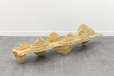 Alicia Adamerovich, Iceberg, 2021-2022, carved wood coffee table, 198 x 36.5 x 48 cm, unique - © sans titre