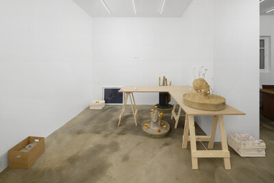 Hamish Pearch, « Amygdala lost and found », Paris - © sans titre
