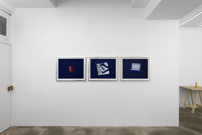 Hamish Pearch, « Amygdala lost and found », Paris - © sans titre