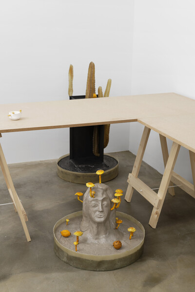 Hamish Pearch, « Amygdala lost and found », Paris - © sans titre