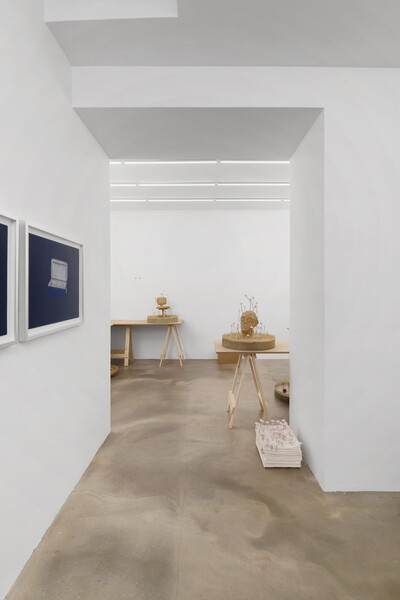 Hamish Pearch, « Amygdala lost and found », Paris - © sans titre