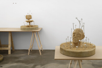 Hamish Pearch, « Amygdala lost and found », Paris - © sans titre