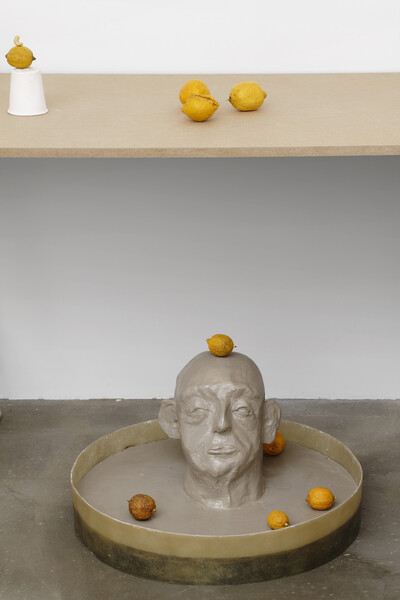 Hamish Pearch, « Amygdala lost and found », Paris - © sans titre