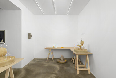 Hamish Pearch, « Amygdala lost and found », Paris - © sans titre