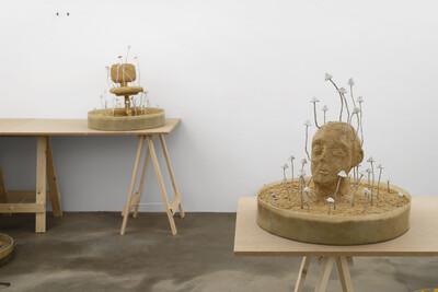 Hamish Pearch, « Amygdala lost and found », Paris - © sans titre