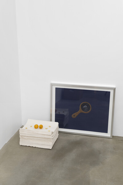 Hamish Pearch, « Amygdala lost and found », Paris - © sans titre