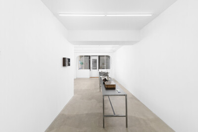 Hamish Pearch, « Do not throw trash into the pond », Paris - © sans titre