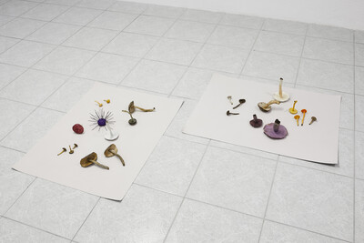 Hamish Pearch, Foraged (I & II), 2020, steel, epoxy putty, oil paint, 50 x 70 x 40 cm (each), unique - © sans titre