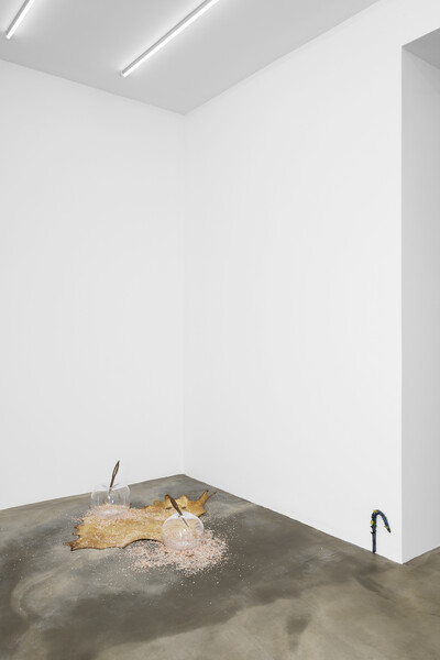 Paloma Proudfoot, «&#160;Curing&#160;», Paris - © sans titre