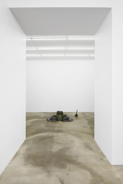 Paloma Proudfoot, « Curing », Paris - © sans titre