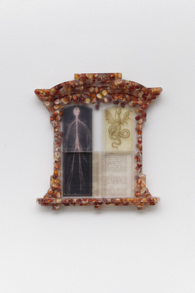 Sula Bermúdez-Silverman, Quò tendis?, 2022, epoxy resin, maize, transparency film, 22.9 x 20.3 x 2.5 cm, unique - © sans titre