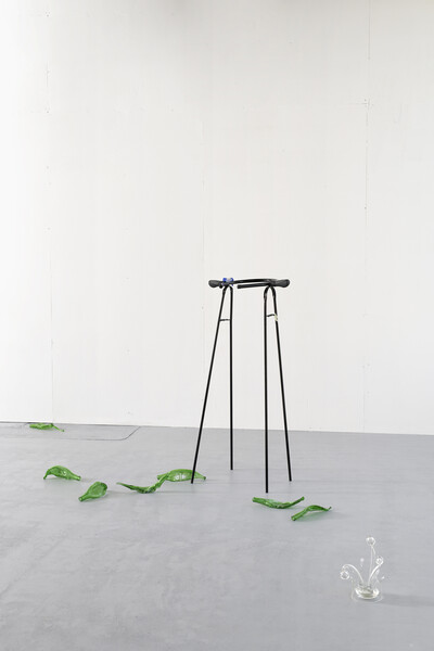 Real Madrid, « The Swamp », Paris - © sans titre