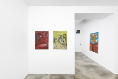 Tanja Nis-Hansen, « The Benign Tumour », Paris - © sans titre