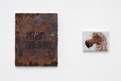 Tanja Nis-Hansen, « To run as fast as a human », Paris - © sans titre