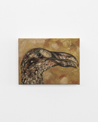 Tanja Nis-Hansen, Great Auk, 2025, oil on canvas, 18 x 24 cm, unique - © sans titre