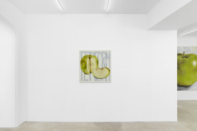 Tanja Nis-Hansen, « To run as fast as a human », Paris - © sans titre
