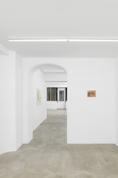 Tanja Nis-Hansen, «&#160;To run as fast as a human&#160;», Paris - © sans titre