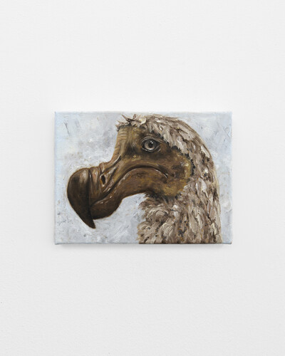 Tanja Nis-Hansen, Dodo, 2025, oil on canvas, 18 x 24 cm, unique - © sans titre