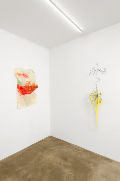 « THE CUP OF WATER THAT GIVES ITSELF TO THIRST », Paris - © sans titre