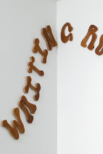 Tanja Nis-Hansen, Let me tickle your fears (detail), 2021, installation with 340 CNC cut MDF letters, 15 x 1.2 cm (each), unique - © sans titre