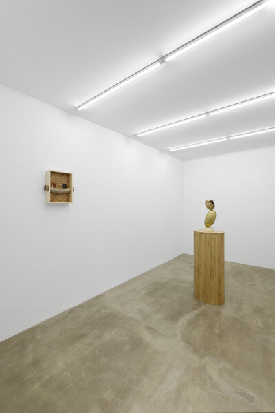 Wei Libo, « Homemade », Paris - © sans titre