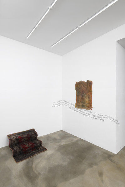 Zuzanna Czebatul, « Hell Hath No Fury Like a Dick Scorned », Paris - © sans titre