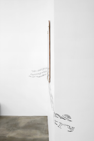 Zuzanna Czebatul, « Hell Hath No Fury Like a Dick Scorned », Paris - © sans titre