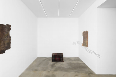 Zuzanna Czebatul, « Hell Hath No Fury Like a Dick Scorned », Paris - © sans titre