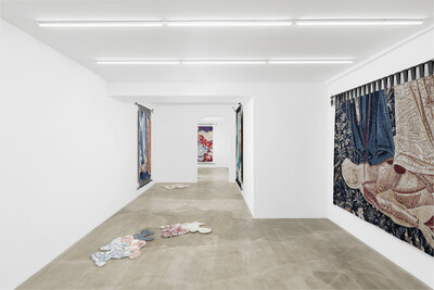 Zuzanna Czebatul, « The Lunatic Fringe », Paris - © sans titre